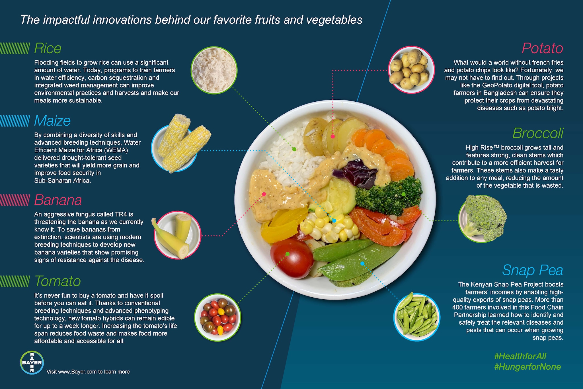 Infographic Food Security_Curry Recipe 